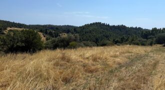 ID 1426 Парцел с гледка – Палиури, Касандра