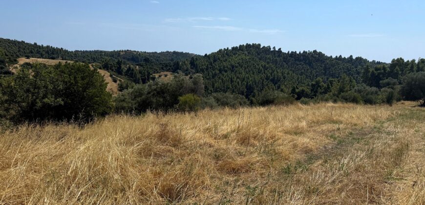 ID 1426 Парцел с гледка – Палиури, Касандра