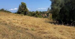 ID 1426 Парцел с гледка – Палиури, Касандра