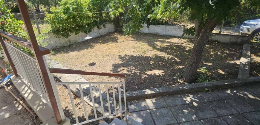 The yard of the house with an area of 230 sq.m